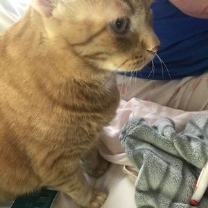 Meet your Posher, Stella